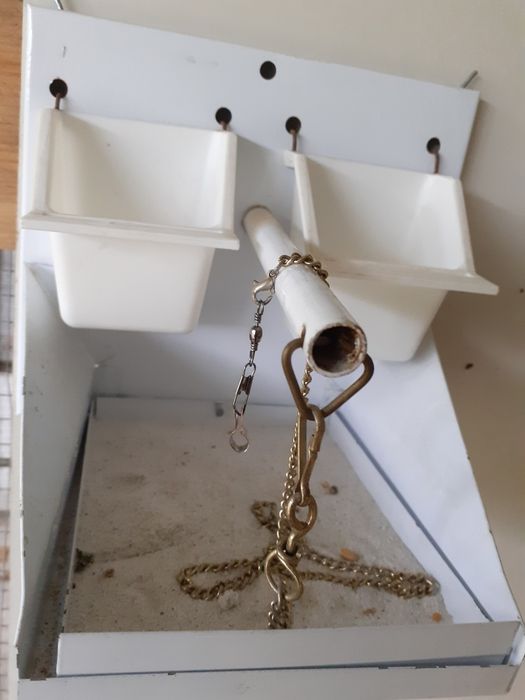 Ofereço poleiro, ler anúncio