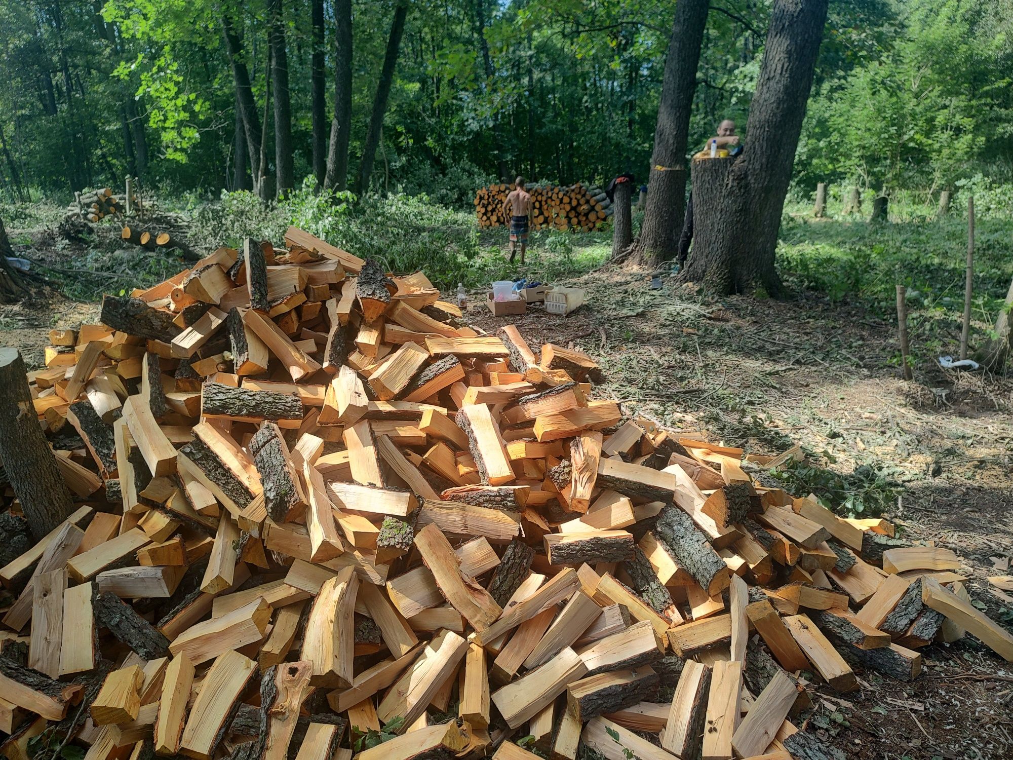 Дрова Під замовлення