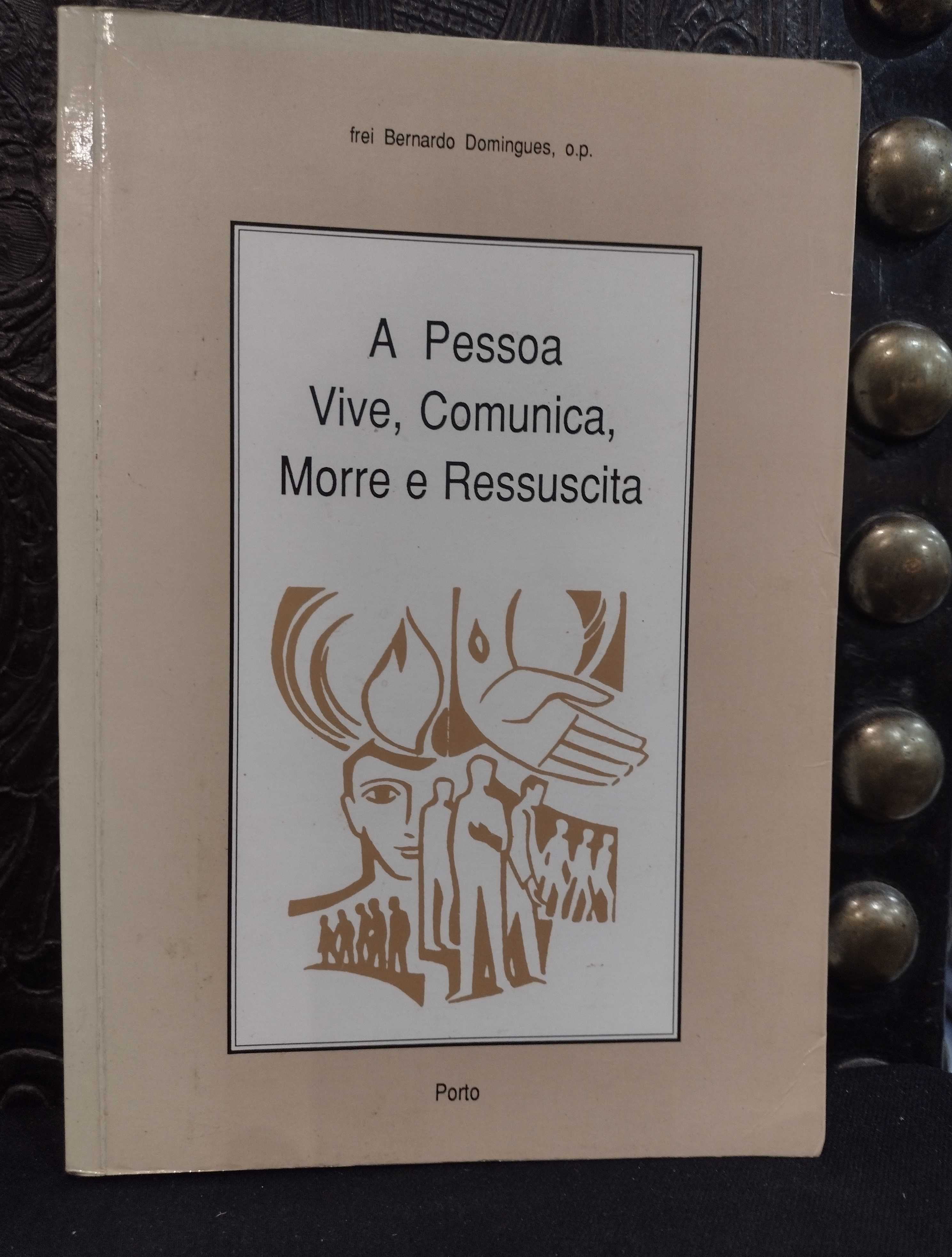 A Pessoa Vive, Comunica, Morre e Ressuscita - Frei Bernardo Domingues