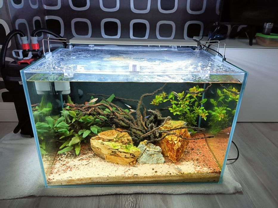 Aquário Extra Claro 100L + Fluval 207