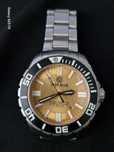 DEEP BLUE Precision diver Automatic Daynight scubat T-100 300M