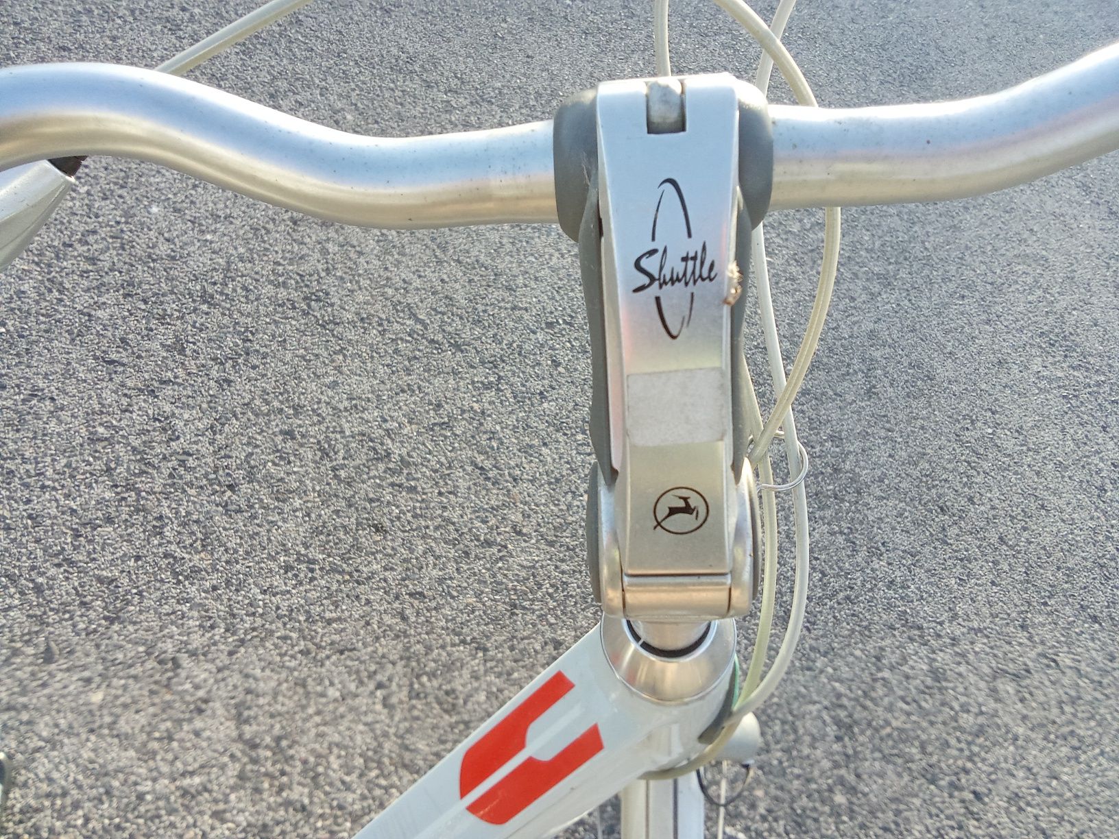 Bicicleta gazele