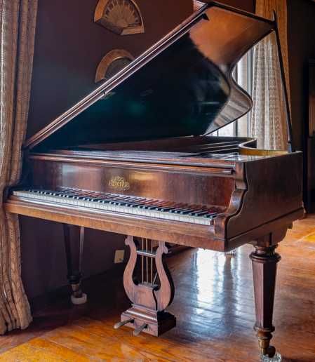 Extraordinário Piano  1/2 cauda  -  ÉRARD  de 1865