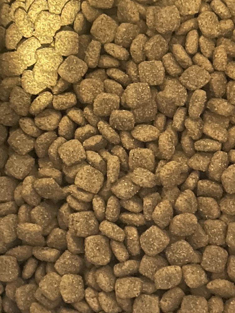 Сухий корм для дорослих собак Brit Premium Sensitive Lamb
