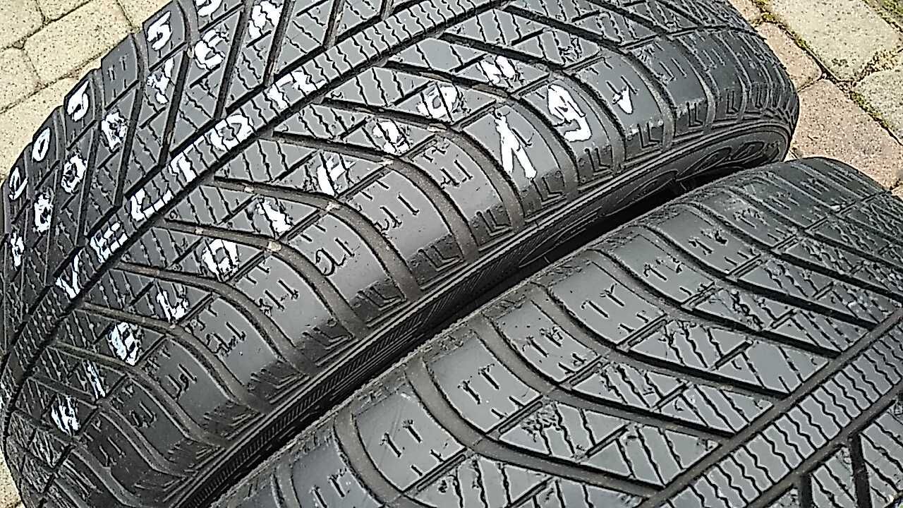 opony 2szt. 205/55/16 Goodyear Wielosezonowe 2019 rok