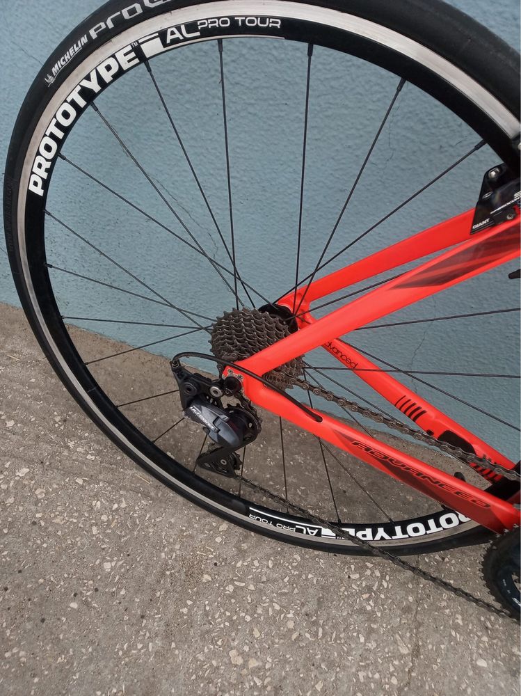 Giant Propel Carbono