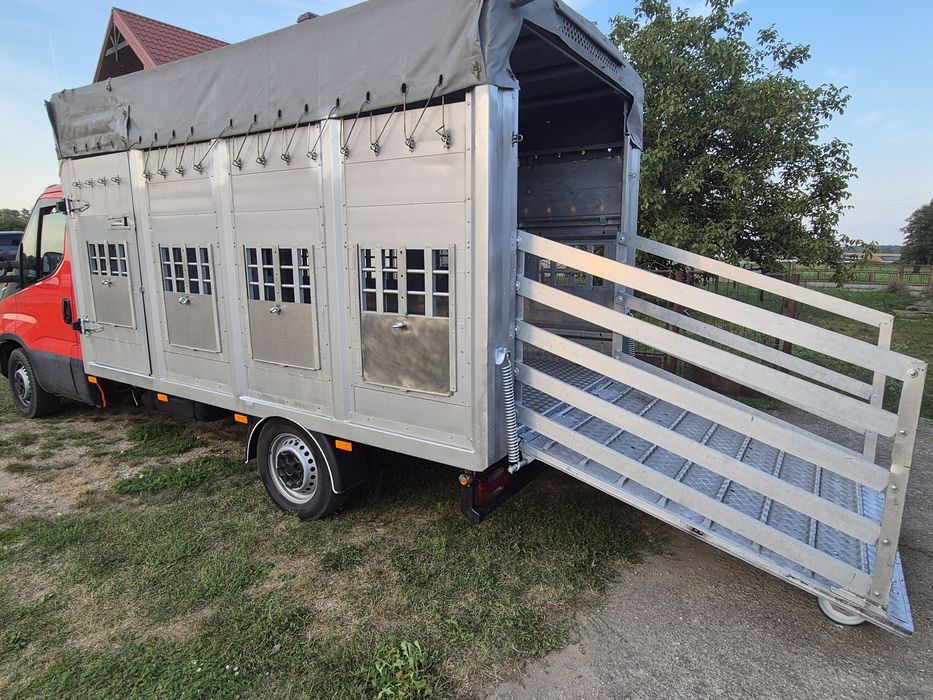 Usługi, transport zwierząt .