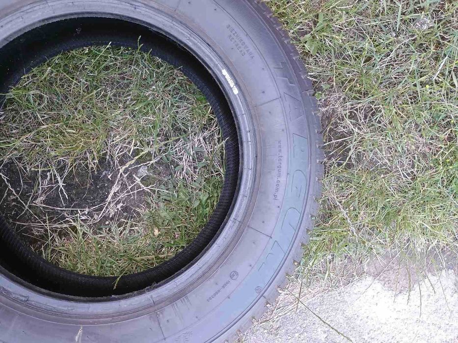 Зимова гума Targum 215/60 r16