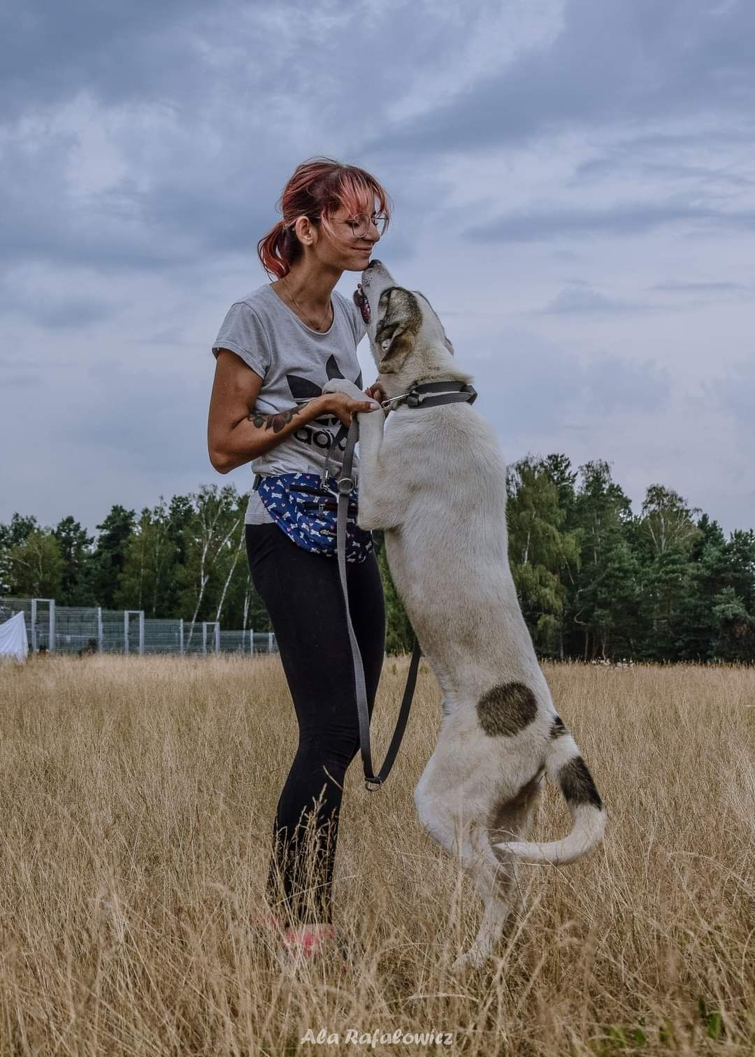 Pozytywny Chaos poleca się do adopcji!