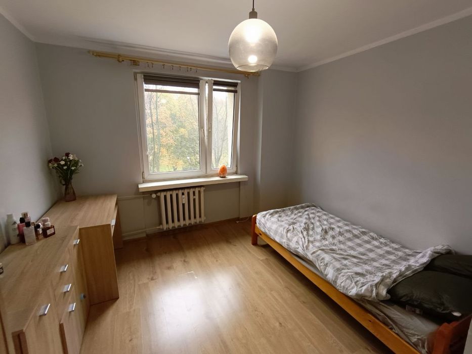 Mieszkanie dwupokojowe na wynajem bezpośrednio