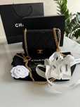 Chanel Mini Clasic Flap Bag