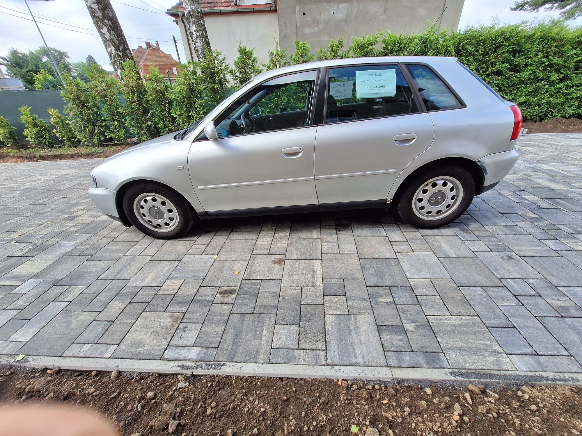 Audi A 3 8l 1.9TDI Ambition 2001r