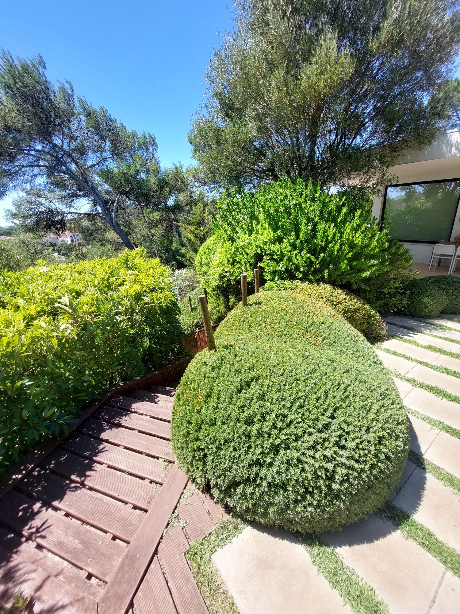 Manutenção de jardins