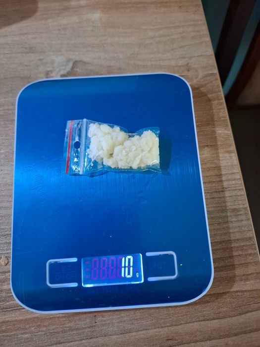 Grzybek tybetański starter dla Martis