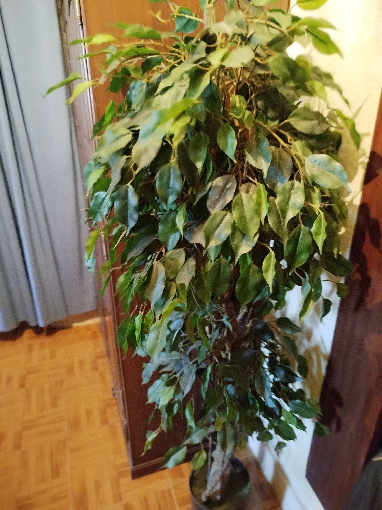Planta artificial