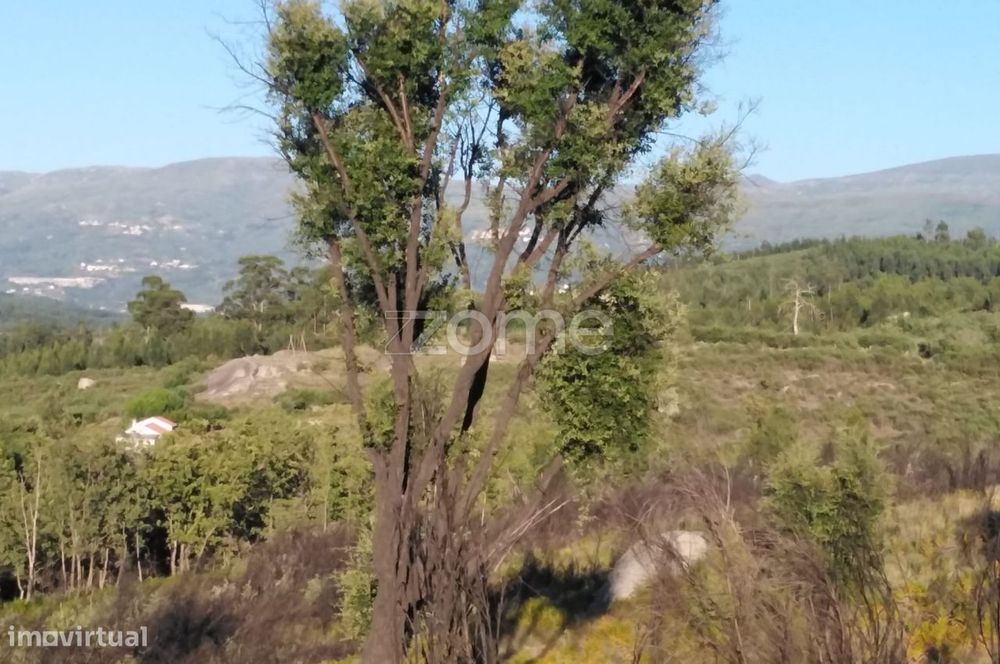 Terreno 8.533m2 em Sameice - Seia