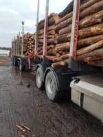Usługi Transportowe transport drewna