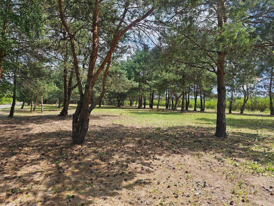 Sprzedam dom  7 x 10m2 w Pieszowoli z działką o pow. 8.33a