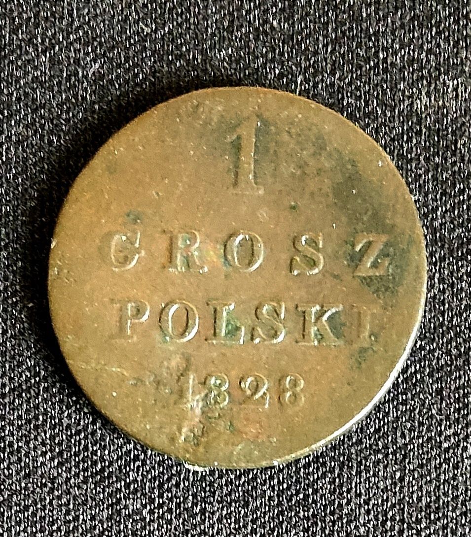 Moneta 1 Grosz polski 1828