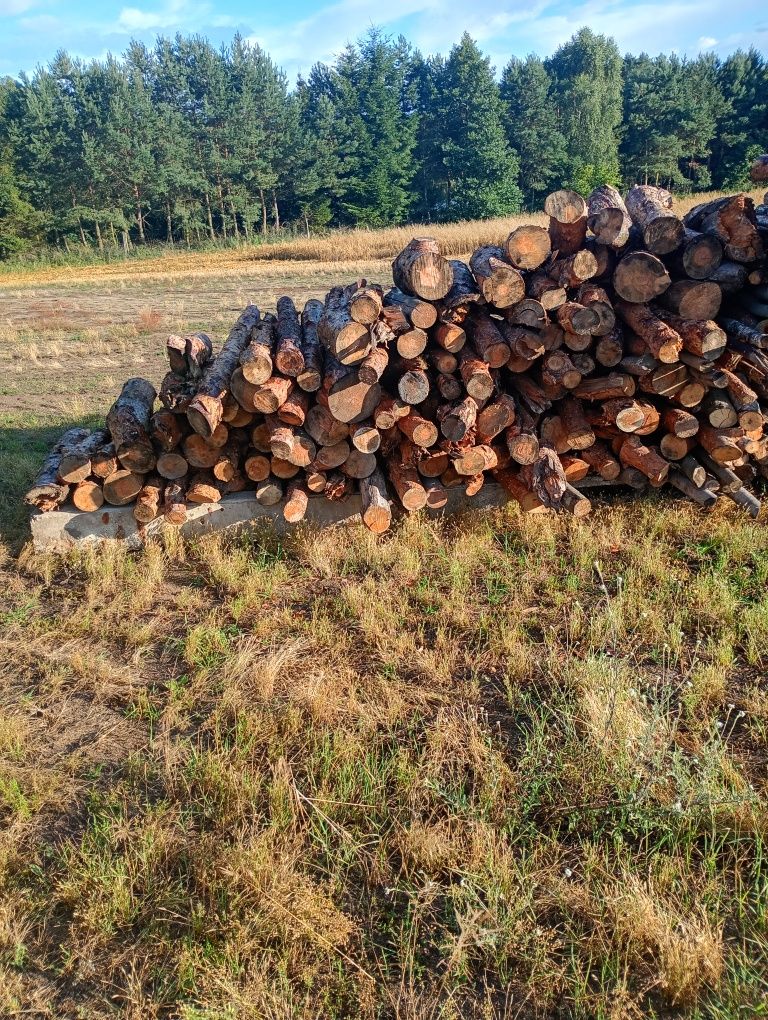 Sprzedam drewno opałowe