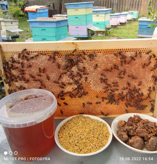 Мед з власної пасіки 2025року,,різнотрав'я, опт/роздріб