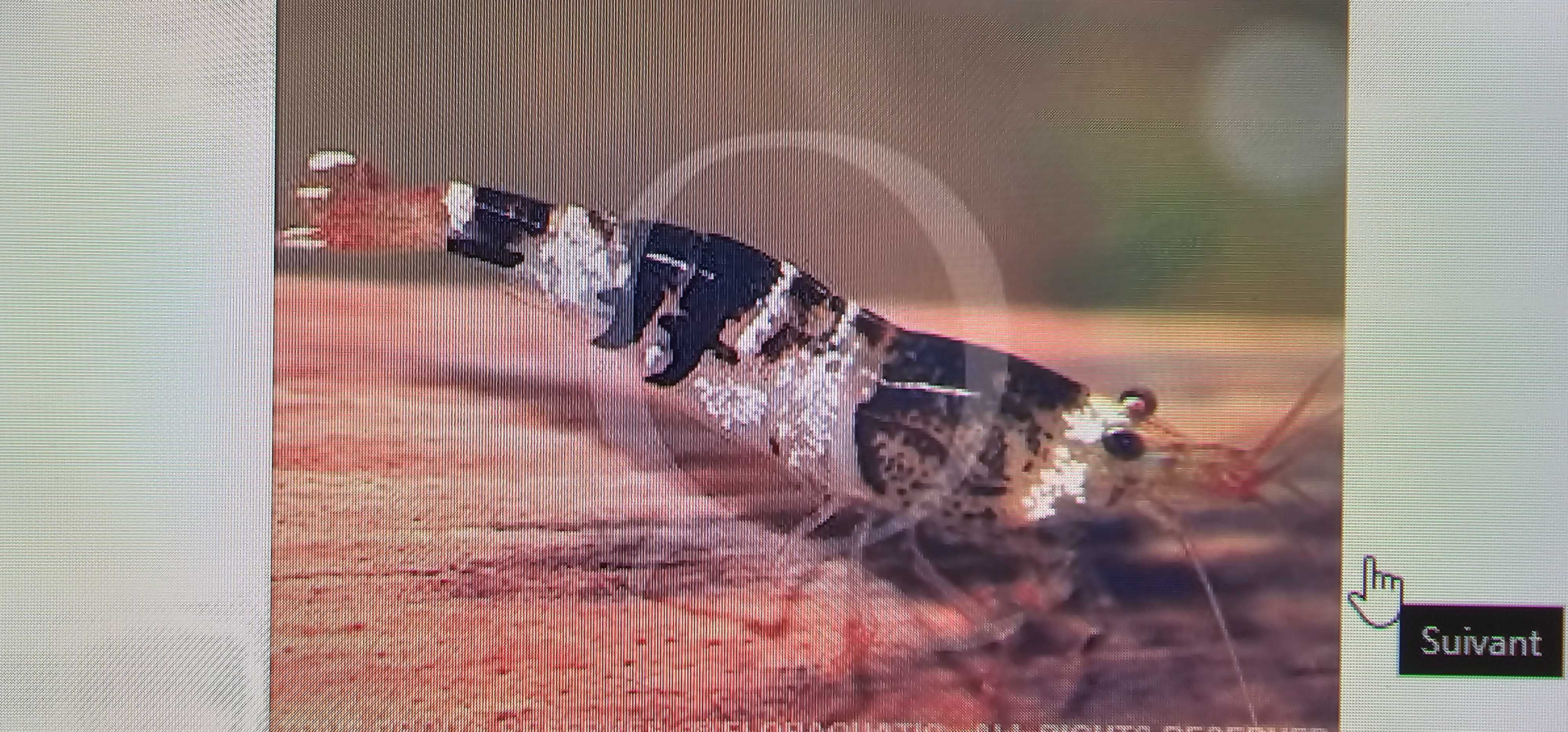 Caridina cf. Cantonensis- black crystal CBS grade B/C