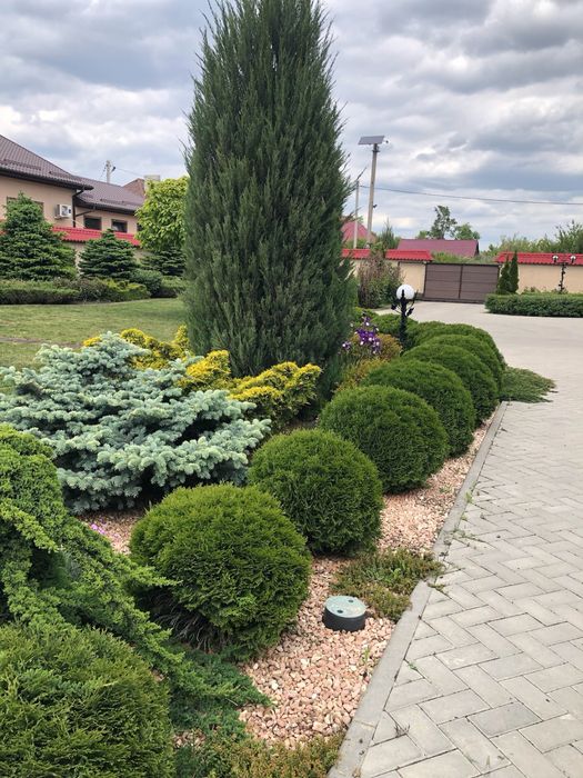 Послуги садівника, озелененя, консервація рослин та поливу на зиму.