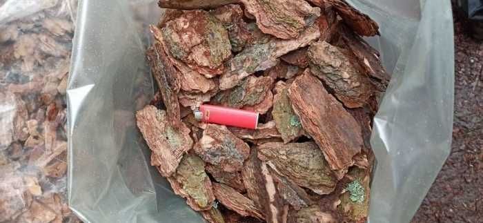 Przepiękna Kora ręcznie sortowana AŁTAJ PREMIUM- TRANSPORT GRATIS