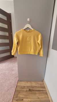 Bluza żółta 134 rozmiar Cool Club Unisex " Lew"