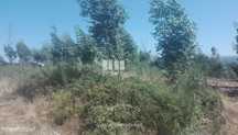 Venda Terreno, Manhuncelos, Marco de Canaveses