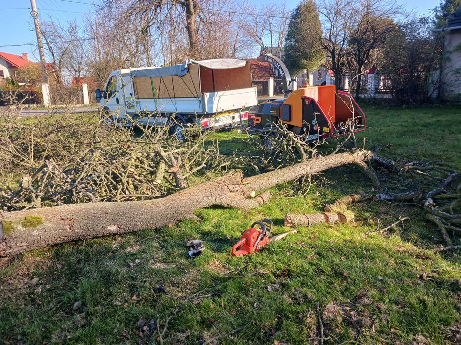 Wycinka drzew zrebkowanie