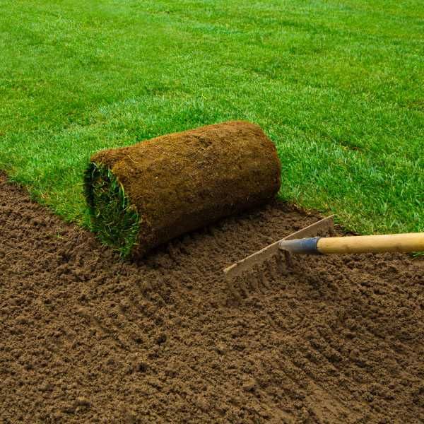 Zakładanie Trawnika Trawników Ogrodu Trawa z Rolki z Siewu Trawnik