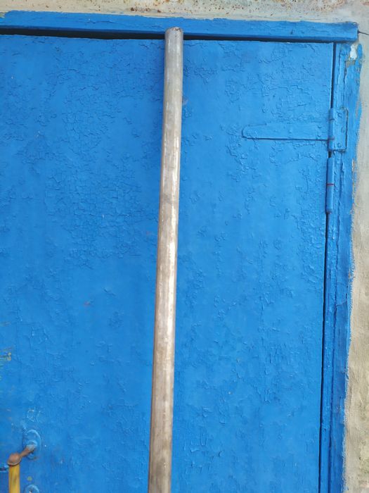 Кругляк нержавійка