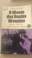 Livro " o monte dos ventos uivantes"