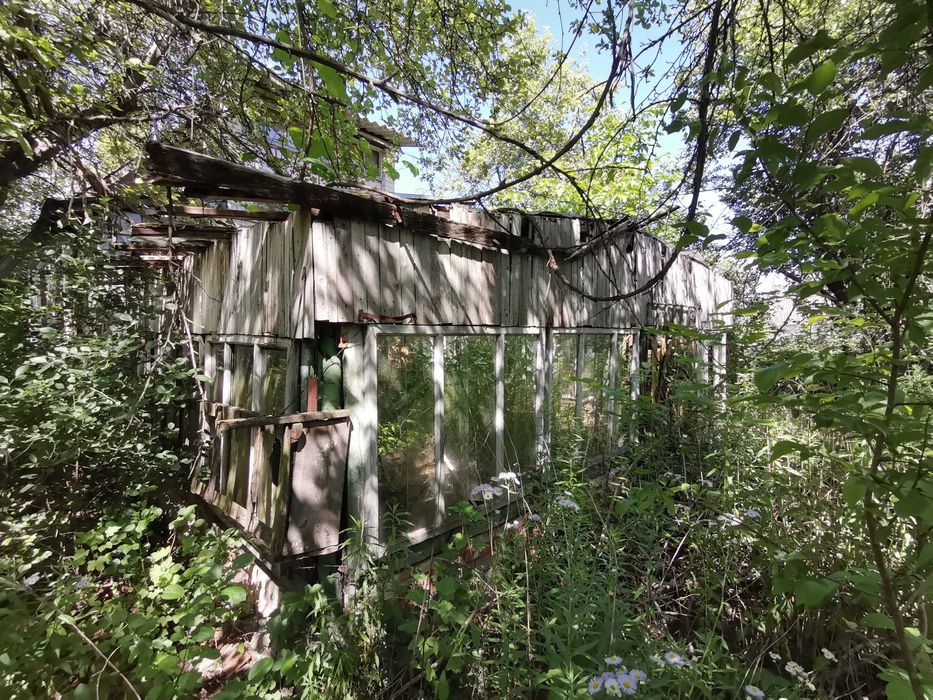 Дача, дом, садиба, земля с. Буки (Тетеревский массив), Житомир, Хозяин