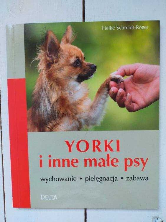 York i inne małe psy