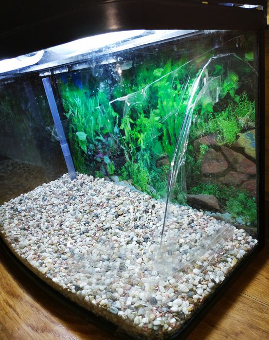 Тераріум , акваріум 65 л.