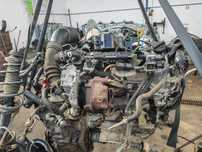 Toyota Yaris 1400 d4d TMI P12