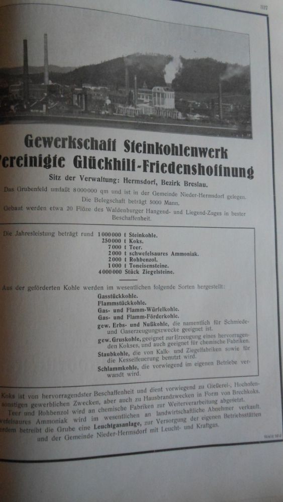 Das Buch der Stadt Waldenburg in Schlesien