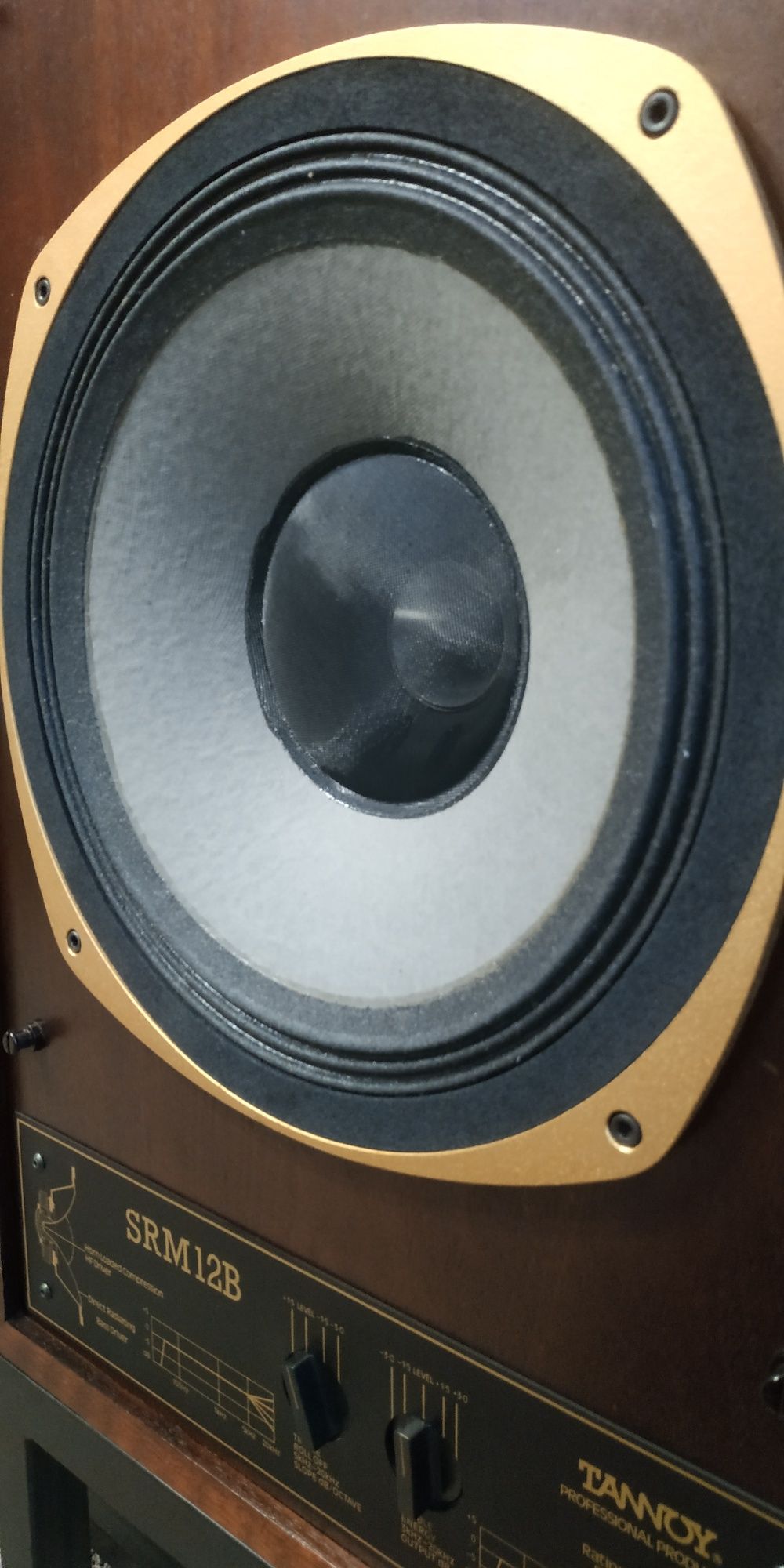 Акустика Tannoy SRM 12 B