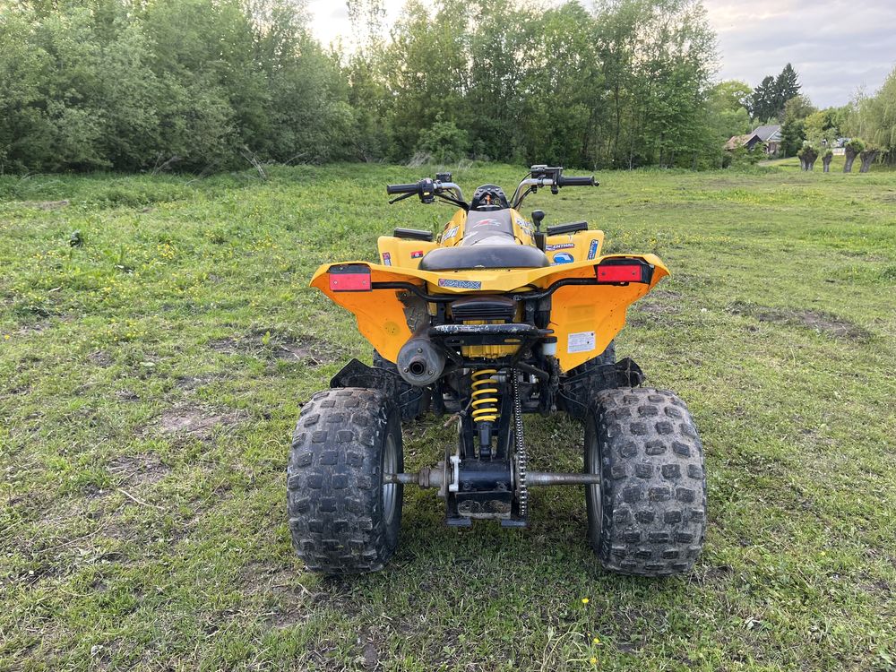 Квадроцикл BRP DS 250cc