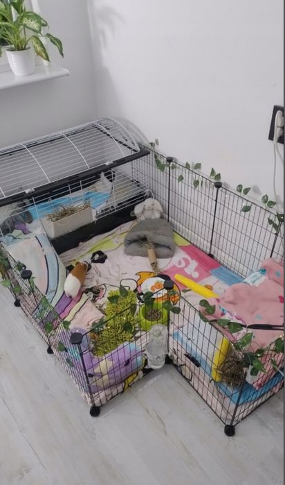 Klatka kojce dla małych zwierząt wybieg zagroda dla królika, chomika