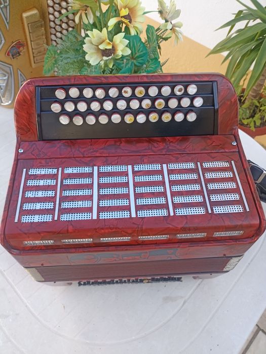 Acordeon Orca 2 voz com acessórios