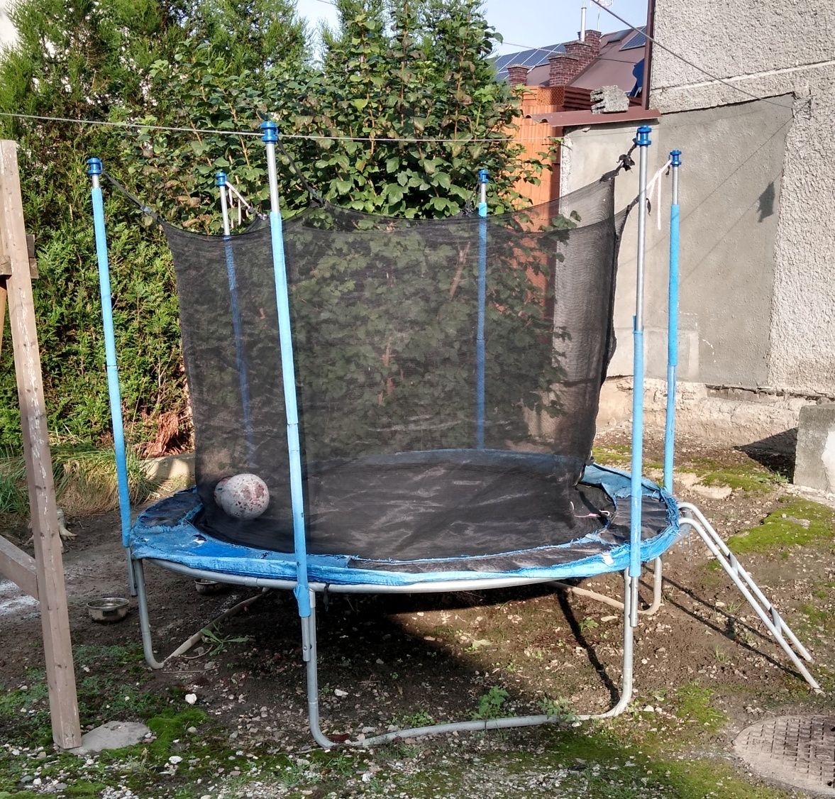 Trampolina 250 cm