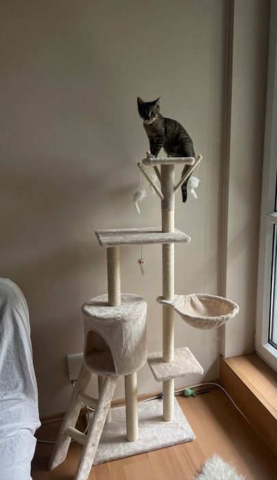 Drapak dla kota beżowy z drabinką NOWY