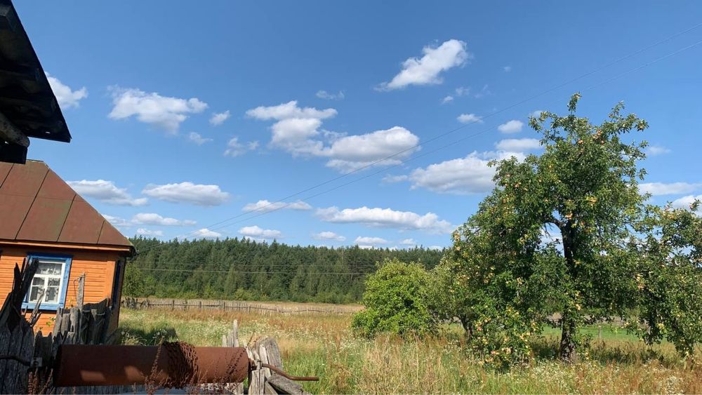 Продам будинок біля міста Овруч(15 км) село Гаєвичі