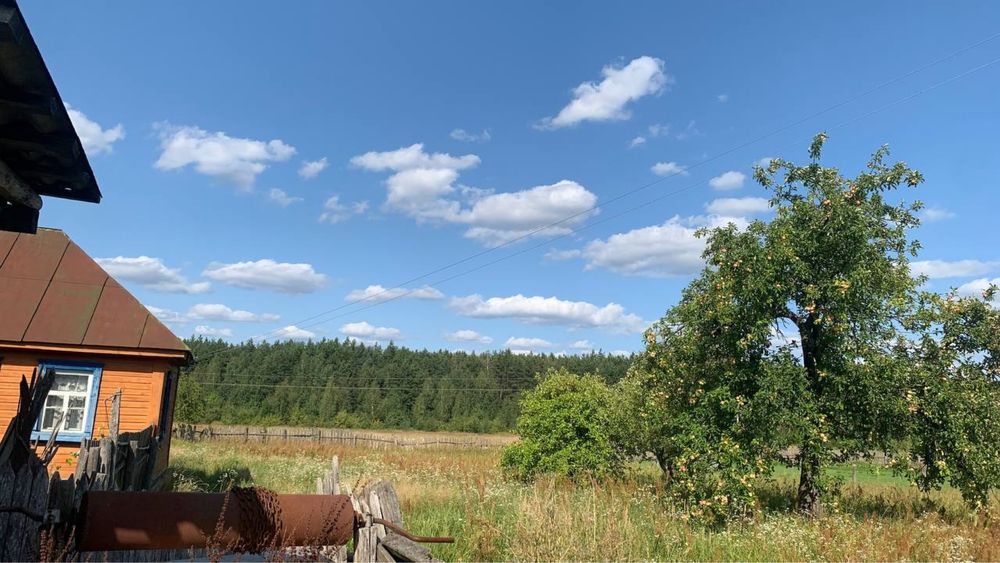 Продам будинок біля міста Овруч(15 км) село Гаєвичі