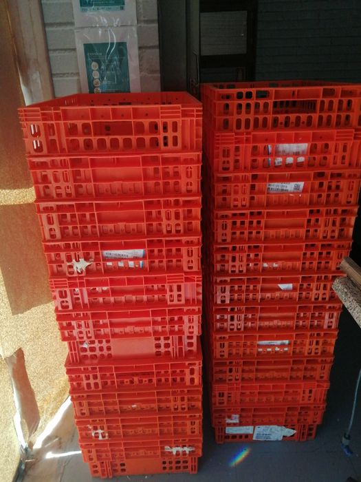 Caixas de trás para bens alimentares