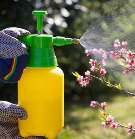 Spray środek ochrony dla roślin dla domii