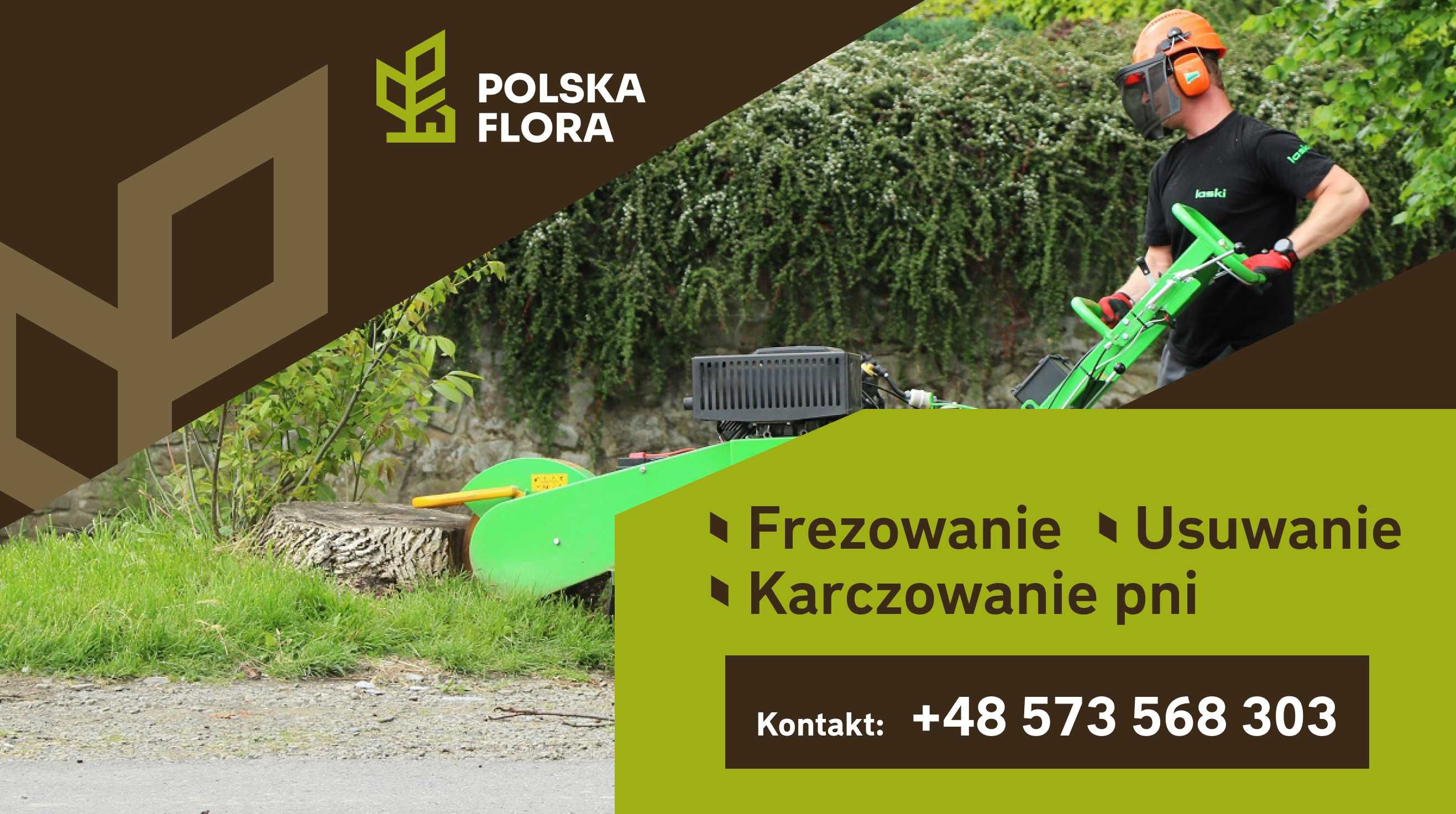 Wycinka drzew, pielęgnacja drzew, sprzedaż drewna. BEZPŁATNA WYCENA